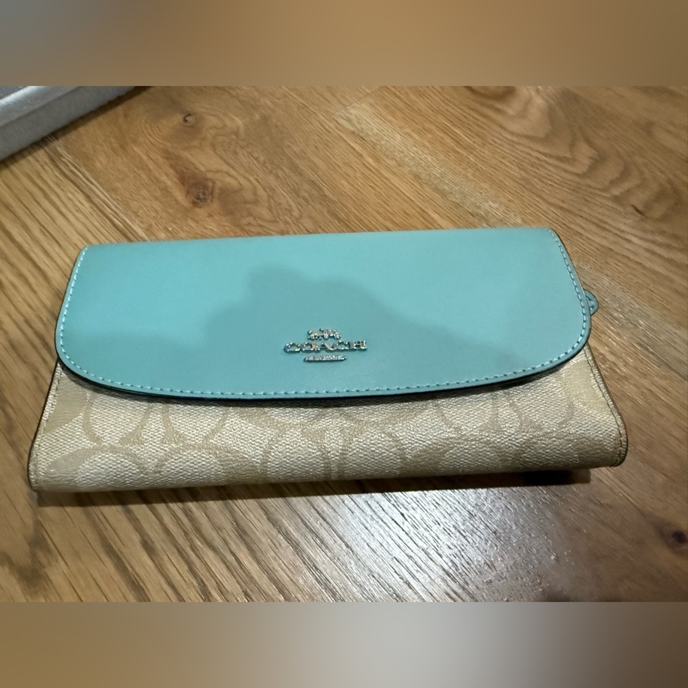 Coach Aqua and Cream Clutch